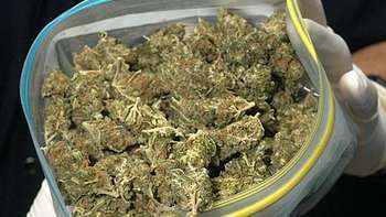 Imagen de archivo de una bolsa con marihuana (Foto TA)