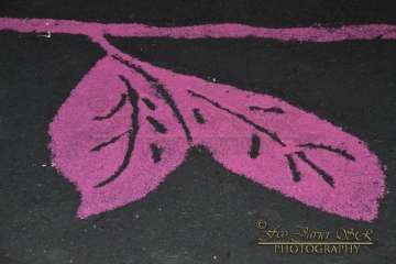 Reportaje Francisco Javier Santana.