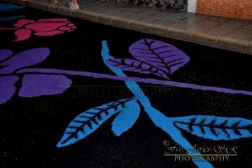 Reportaje Francisco Javier Santana.