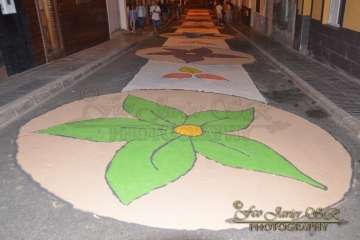 Reportaje Francisco Javier Santana.