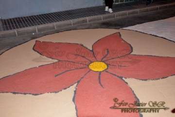 Reportaje Francisco Javier Santana.