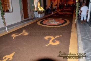 Reportaje Francisco Javier Santana.