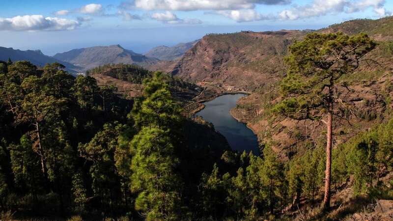 Presas del Mulato (Foto atlasruraldegrancanaria.com)