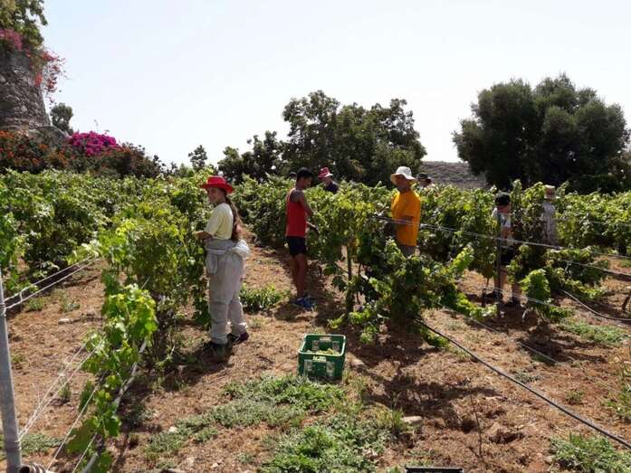  Finca Interminable de San Bartolomé de Tirajana (Foto TA)
