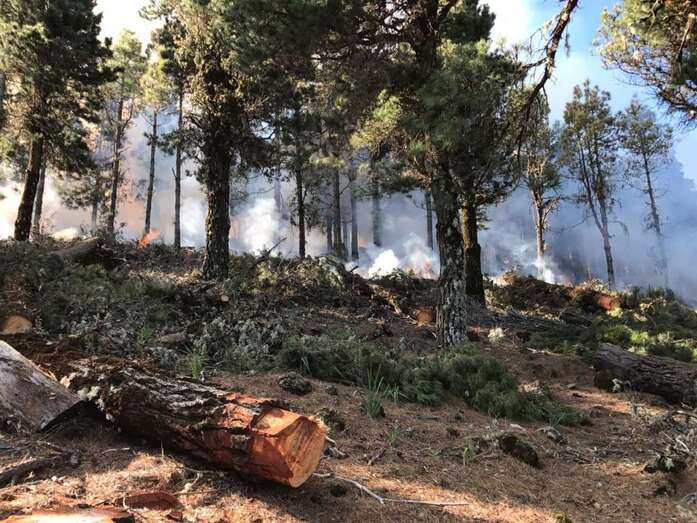 Las condiciones abren la denominada ventana del 
