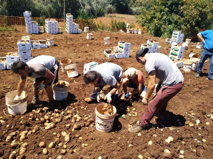 La cita se celebrará este sábado en la Finca de Osorio (Foto TA)