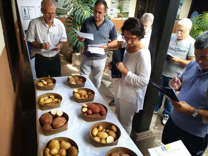 Imagen del certamen que este sábado se celebró en Osorio (Foto T)A