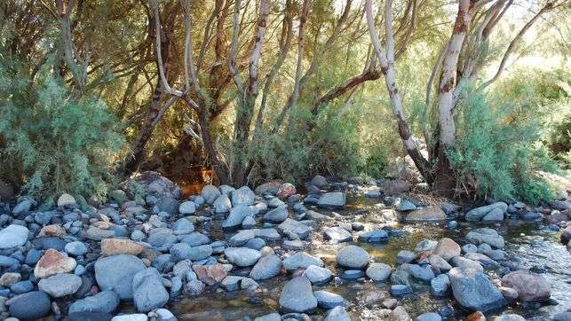 Humedal de Las Marciegas (Foto Eldiario.es)