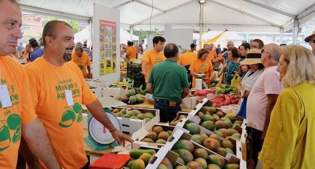 La feria se celebró este domingo (Foto TA)