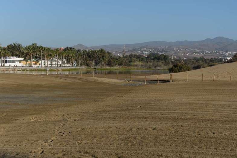 Charca de Maspalomas (Foto TA)
