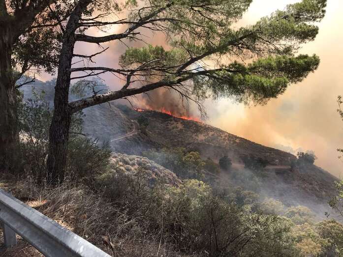 Imagen de la columna de humo desde la torre de control del Aeropuerto de Gran Canaria (Foto TA)