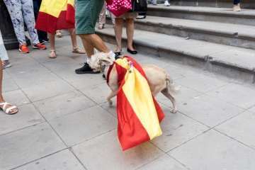 Banderas españolas y catalanas ondean en la capital ante el desafío del 1-O (Foto TA)