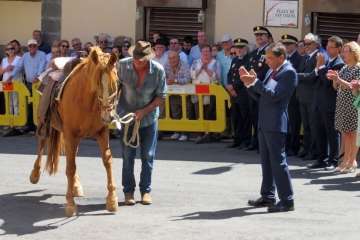 Procesión y feria de ganado en Valsequillo (Foto TA y Acfi Press)