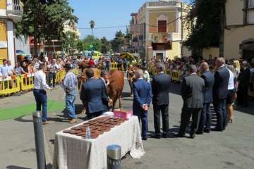 Procesión y feria de ganado en Valsequillo (Foto TA y Acfi Press)