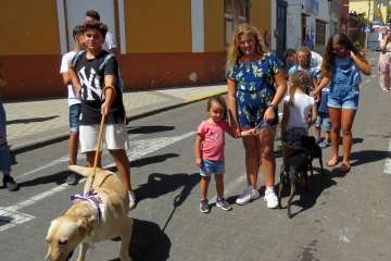 Procesión y feria de ganado en Valsequillo (Foto TA y Acfi Press)