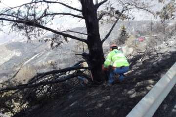 El Cabildo adjudica por la vía de emergencia la reparación de las carreteras afectadas por el incendio (Foto TA)