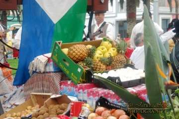 La Naval celebra su tradicional romería (Reportaje gráfico Francisco Javier Santana)