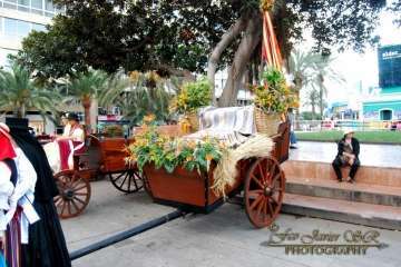 La Naval celebra su tradicional romería (Reportaje gráfico Francisco Javier Santana)