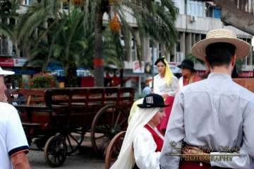 La Naval celebra su tradicional romería (Reportaje gráfico Francisco Javier Santana)