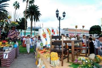 La Naval celebra su tradicional romería (Reportaje gráfico Francisco Javier Santana)
