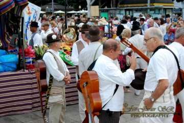 La Naval celebra su tradicional romería (Reportaje gráfico Francisco Javier Santana)