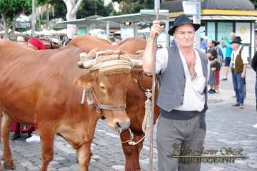 La Naval celebra su tradicional romería (Reportaje gráfico Francisco Javier Santana)