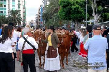 La Naval celebra su tradicional romería (Reportaje gráfico Francisco Javier Santana)