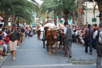 La Naval celebra su tradicional romería (Reportaje gráfico Francisco Javier Santana)
