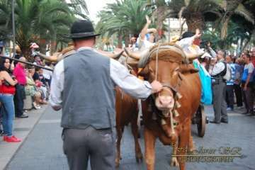 La Naval celebra su tradicional romería (Reportaje gráfico Francisco Javier Santana)