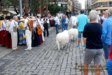 La Naval celebra su tradicional romería (Reportaje gráfico Francisco Javier Santana)