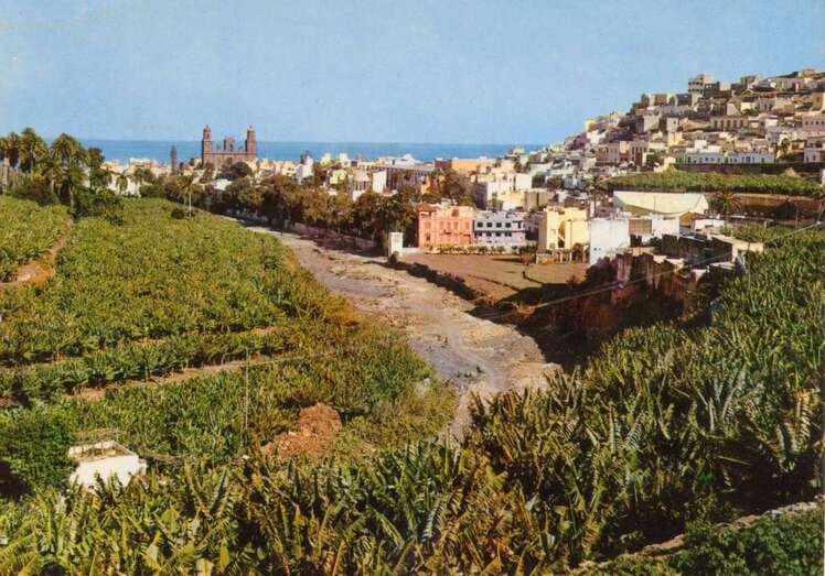 Panorámica de Vegueta con el cauce del Guiniguada, la Catedral y los cultivos de plataneras de las fincas el Pambaso (Foto Fedac)