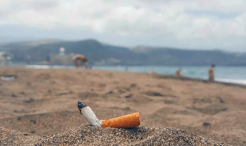 La votación se desarrollará entre el 4 y el 17 de diciembre (Foto TA)