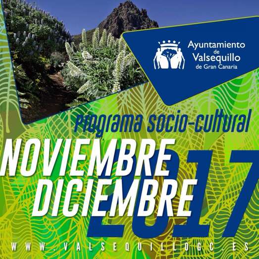 Cartel de la actividad (Foto TA)