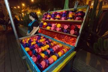 Inauguración del belén navideño del Cabildo de Gran Canaria (Foto TA)