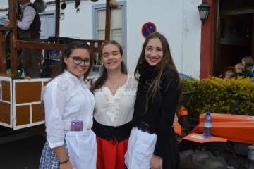 La Romería de Los Labradores enaltece en Santa Lucía las raíces canarias (Foto TA)