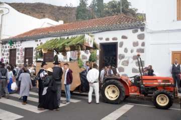 La Romería de Los Labradores enaltece en Santa Lucía las raíces canarias (Foto TA)
