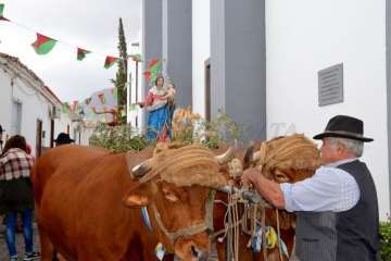 La Romería de Los Labradores enaltece en Santa Lucía las raíces canarias (Foto TA)