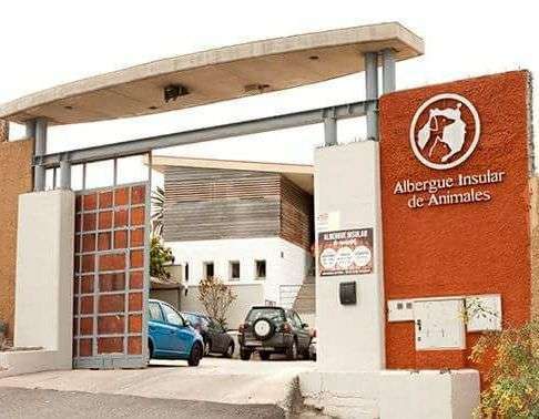 El albergue insular ha logrado dar en adopción 1.810 mascotas en este 2017 (Foto TA)