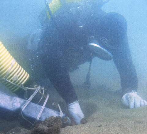 Imagen de archivo de los trabajos desarrollados en el año 2008 (Foto TA)