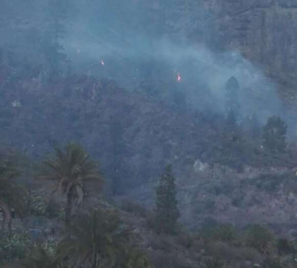 Imagen del incendio declarado esta tarde en Piedra Camello (Foto TA)