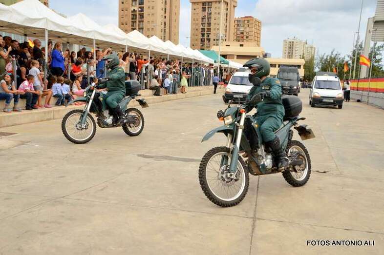 El Seprona de la Guardia Civil se ha hecho cargo de las investigaciones (Foto TA)