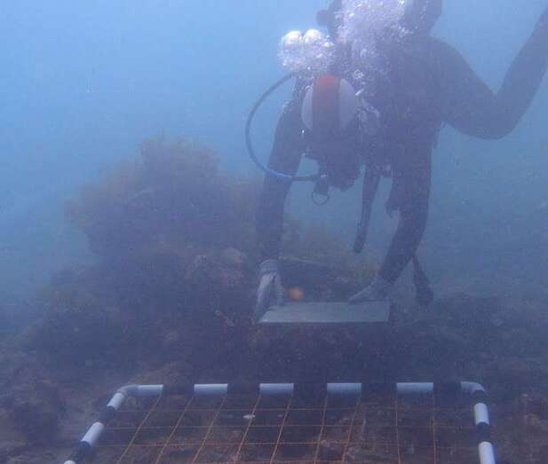 Imagen de una de las intervenciones de arqueología subacuática llevadas a cabo en El Burrero (Foto TA)