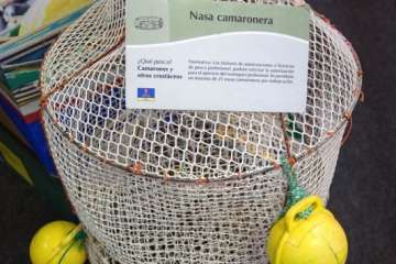 Telde embruja a la Feria Gran Canaria Me Gusta (Foto TA)