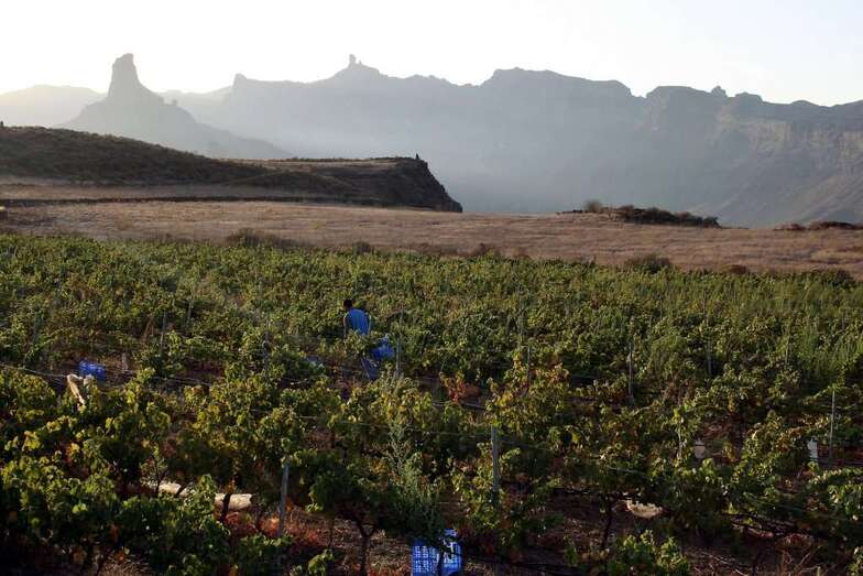 Las Jornadas se desarrollarán el jueves y viernes 19 y 20 de abril en el Auditorio Alfredo Kraus (Foto TA)