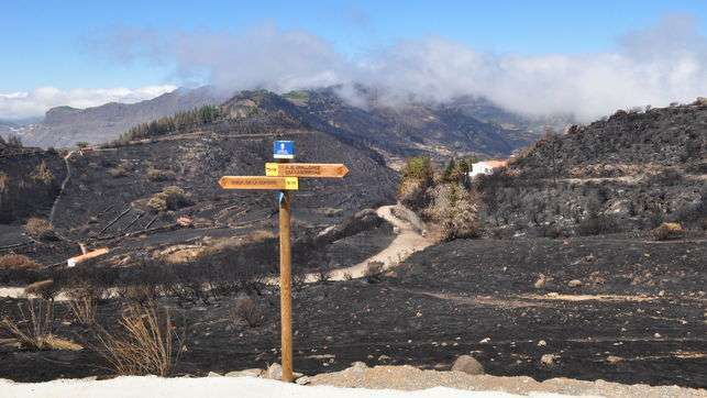 Zonas afectadas por el incendio (Foto TA)