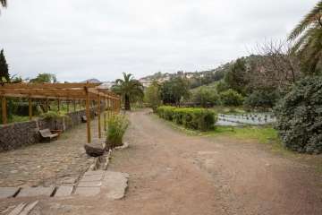 Recorrido por el Barranco del Guiniguada para mostrar algunas de sus riquezas hidráulicas (Foto TA)