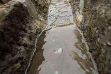 Recorrido por el Barranco del Guiniguada para mostrar algunas de sus riquezas hidráulicas (Foto TA)