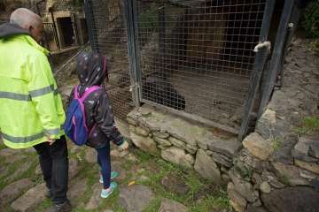 Recorrido por el Barranco del Guiniguada para mostrar algunas de sus riquezas hidráulicas (Foto TA)