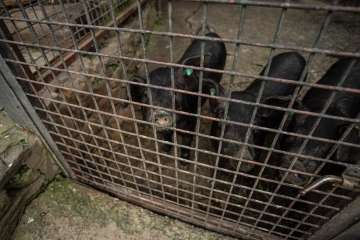 Recorrido por el Barranco del Guiniguada para mostrar algunas de sus riquezas hidráulicas (Foto TA)