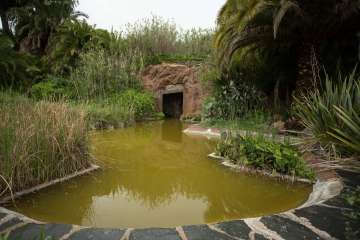 Recorrido por el Barranco del Guiniguada para mostrar algunas de sus riquezas hidráulicas (Foto TA)